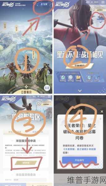 王者荣耀体验服资格取消后的重新申请攻略