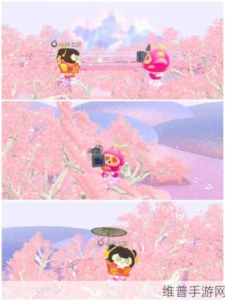 蛋仔派对,详解花朵赠送流程与攻略
