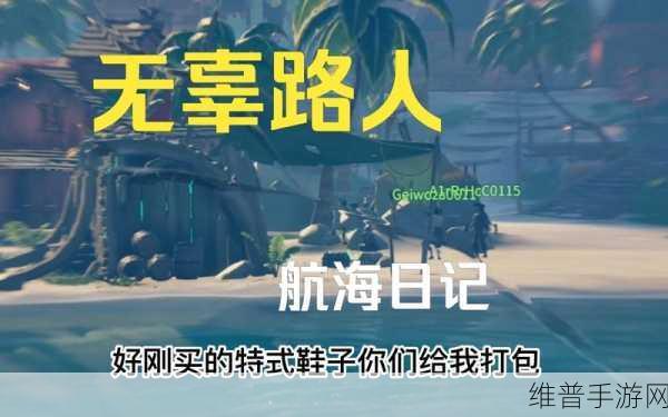 黎明之海新手快速升级秘籍，解锁航海之旅的高效途径