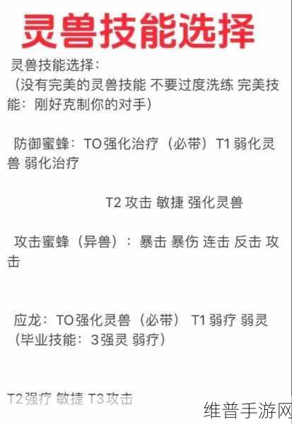 寻道大千，灵兽蜜蜂的绝佳技能选择指南