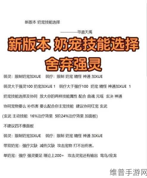 寻道大千，灵兽蜜蜂的绝佳技能选择指南