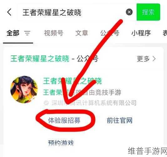 王者荣耀体验服申请全攻略，解锁前瞻版游戏资格