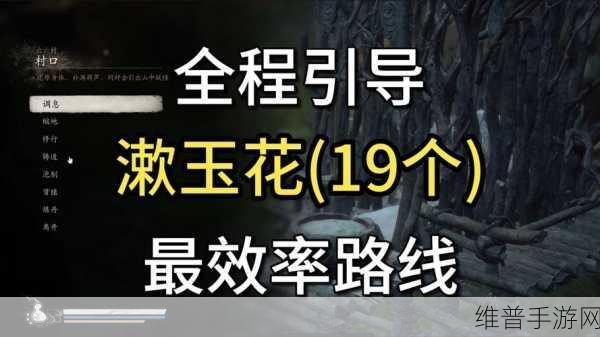 黑神话,悟空漱玉花高效速刷全攻略