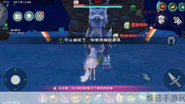 创造与魔法，捕捉道具全揭秘，畅玩奇幻之旅