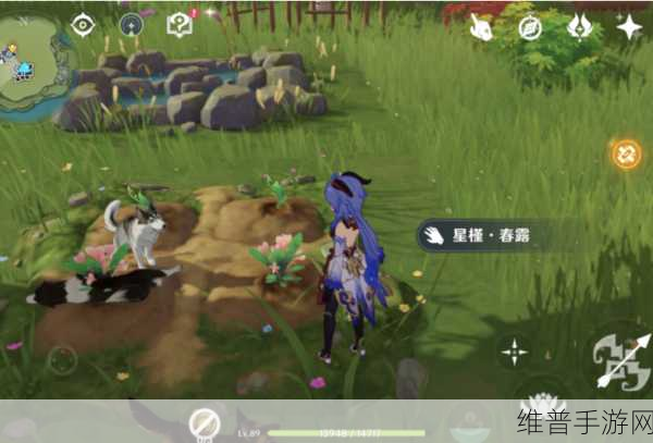原神怎么种花？梦里生花任务最详细流程一览