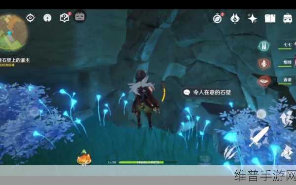 原神恒久之约调查石壁上的灌木任务深度完成攻略