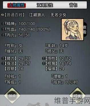 放置江湖深度攻略，解锁家园系统，打造你的武侠世界