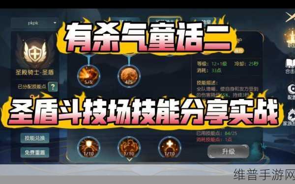 有杀气童话,战斗技巧深度剖析与实战应用
