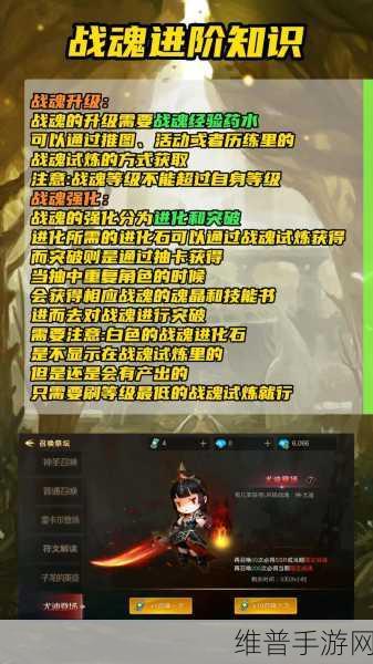 超级地城之光手游攻略，战魂升星全解析