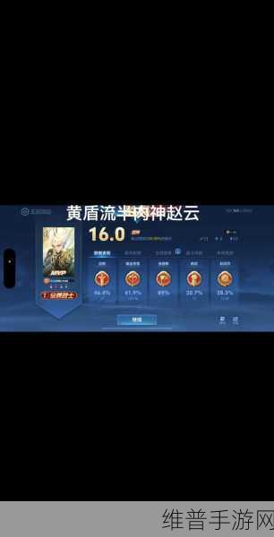 赵云半肉装出装秘籍，制霸战场的绝佳选择
