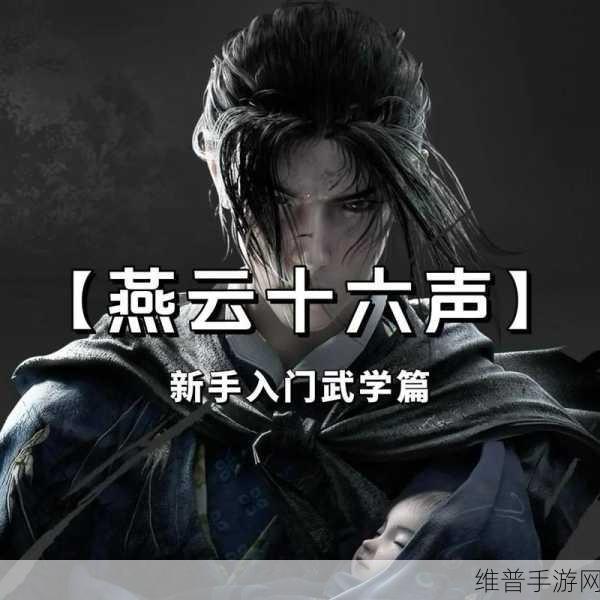 燕云十六声，探寻猫猫之仁的神秘所在