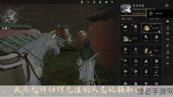 燕云十六声，探寻猫猫之仁的神秘所在