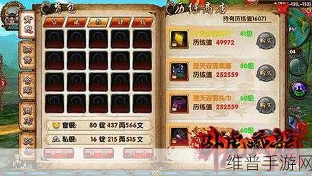 探秘卧虎藏龙手游，60 金装获取秘籍大公开