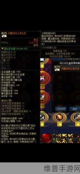DNF2024年最新护肩强度深度对比，揭秘哪款护肩才是强者首选