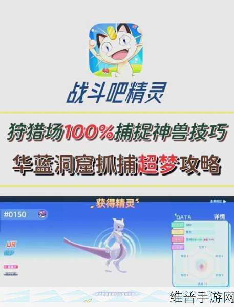 口袋妖怪XY深度攻略,超梦性格是否固定及其战斗策略