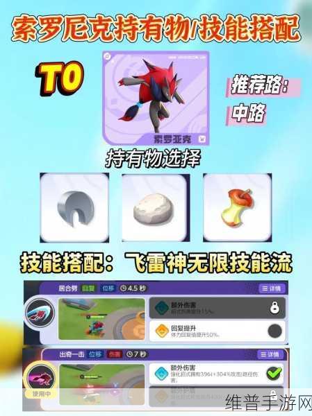 宝可梦大集结象牙猪持有物的最佳搭配策略
