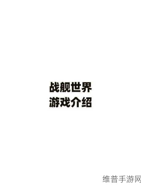 探寻战舰世界官网入口 畅玩海战手游秘籍