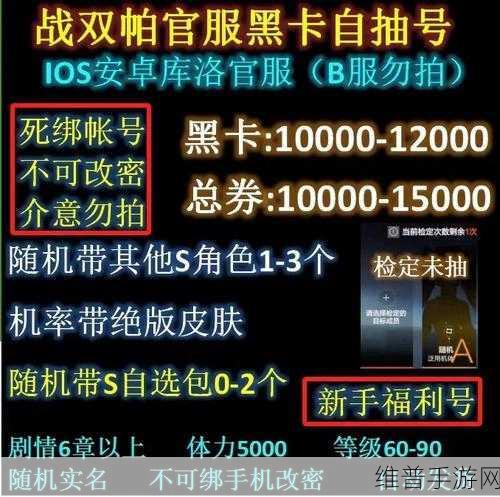 战双帕弥什 10000 黑卡兑换码领取全攻略