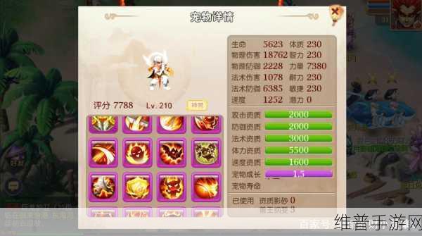 梦幻西游手游，夜战与连击技能深度剖析
