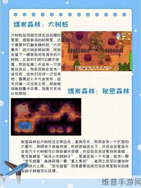 星露谷物语，解锁放大镜的神秘路径