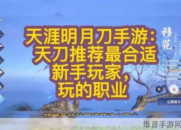 天涯明月刀手游PVP职业深度解析与强力推荐