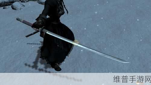 上古卷轴 5 天际，魔法全攻略秘籍大揭秘