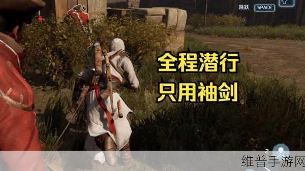 刺客信条3狼群模式深度攻略，策略与技巧全面解析