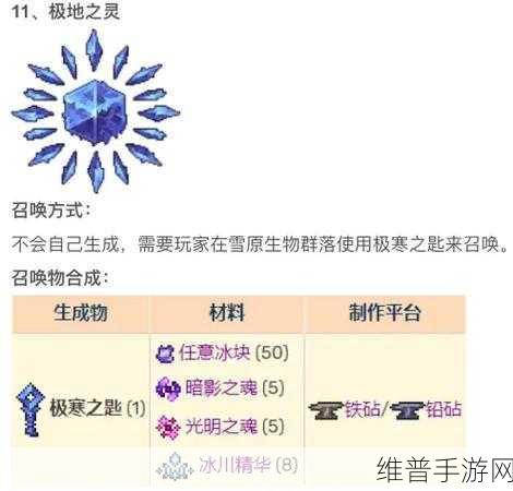 泰拉瑞亚深度攻略，揭秘天国魔力ID及其更多游戏细节