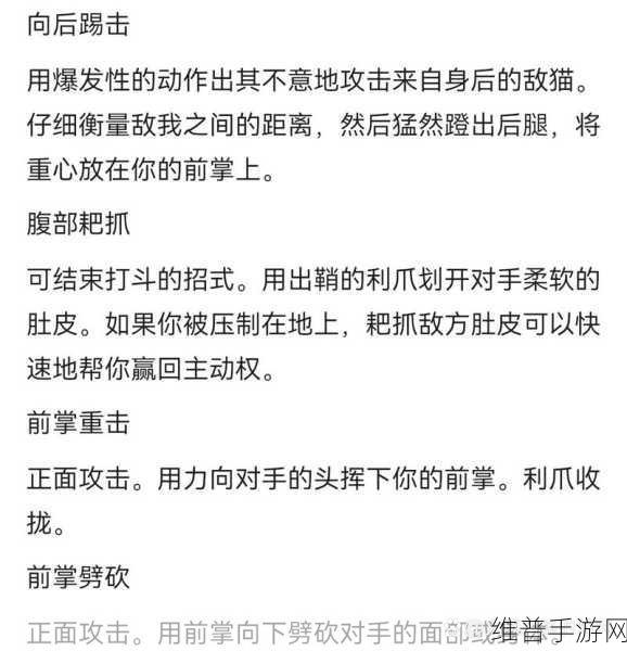 白猫计划战斗精髓，玩家分享的高效小技巧