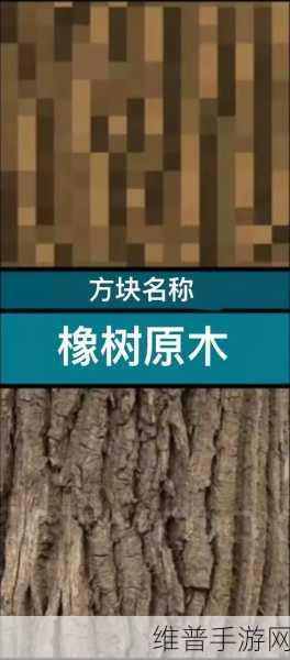 我的世界，深入解析结构方块的神奇用法