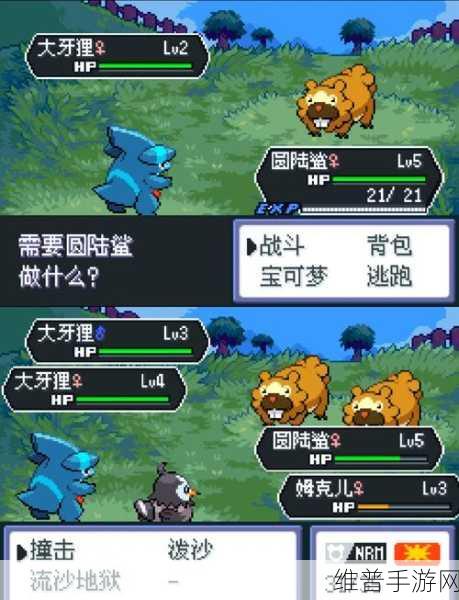 宝可梦大探险深度攻略，大岩蛇进化之谜与培养策略