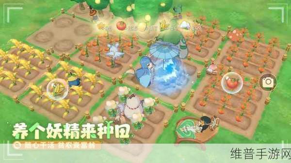 织梦森林矿石市场完美建设攻略