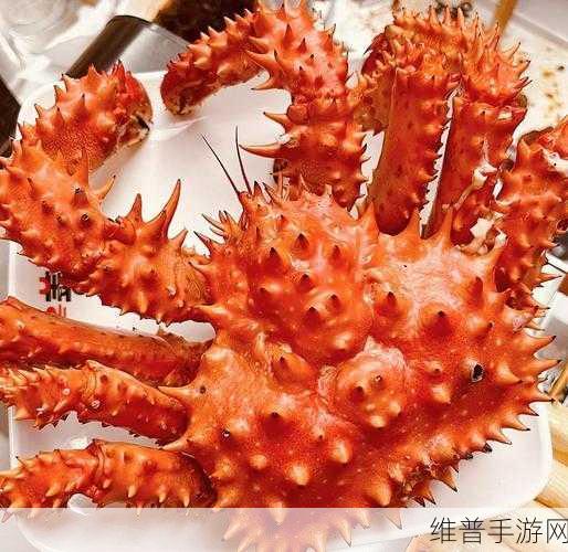 创造与魔法帝王蟹捕捉指南，帝王蟹位置详解