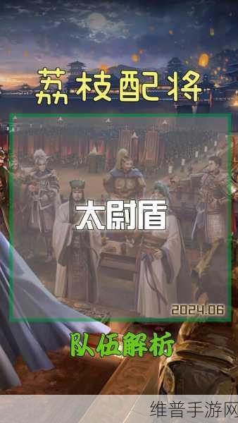 三国志战略版太尉盾共存之道，策略技巧与价值提升深度剖析