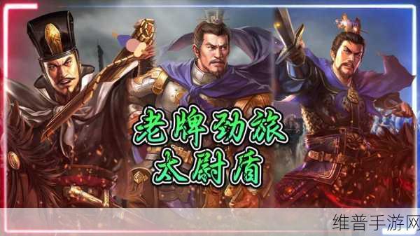 三国志战略版太尉盾共存之道，策略技巧与价值提升深度剖析