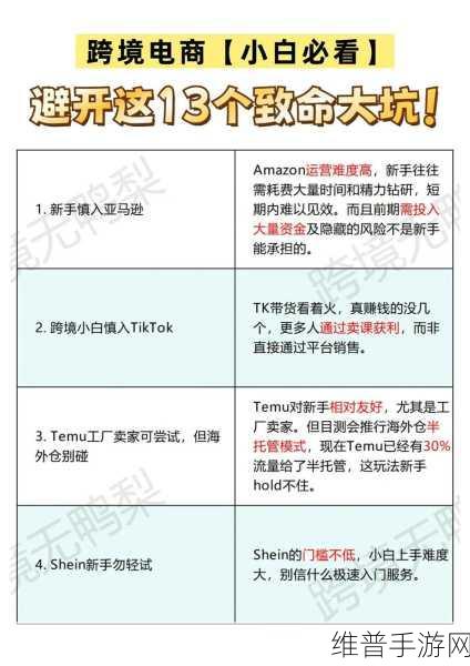 亚马逊与Temu之争,手游公司如何应对电商巨头的较量?