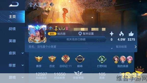 王者荣耀中星星的象征意义及解答详解，深度剖析中心关注点
