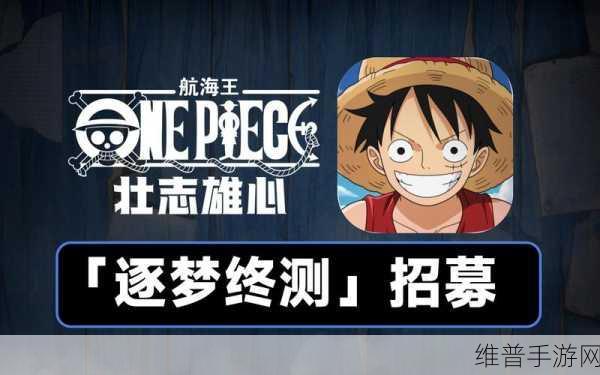 航海王壮志雄心连招保护条开启秘籍大揭秘