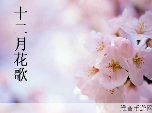 文字玩出花找出十二处离谱的作弊行为攻略全解析