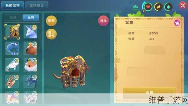 探索创造与魔法龙树岛的珍稀宝藏