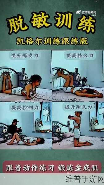 深度解析超脱力医院，游戏特色与玩法指南