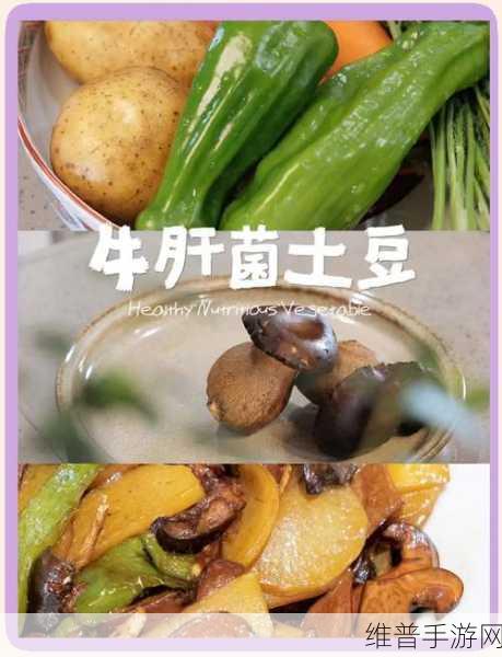 幻塔酱菇肉排制作全攻略,美味秘诀大公开