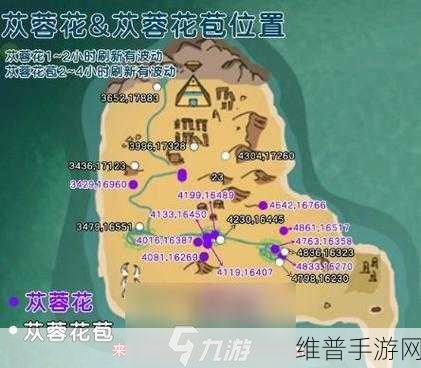 创造与魔法，探寻夕阳花位置的终极秘籍