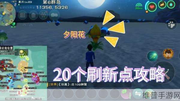 创造与魔法，探寻夕阳花位置的终极秘籍