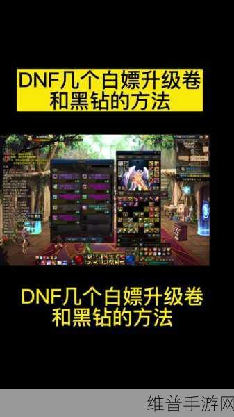 DNF 手游黑钻特权全解析，让你实力飞升