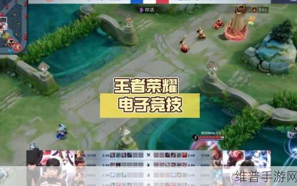 王者荣耀夏季赛直播回放全攻略