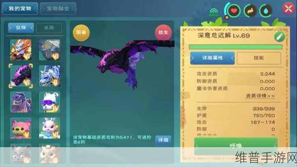 创造与魔法，探秘生产宠物的奇妙世界