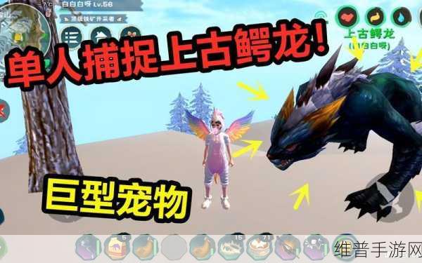 创造与魔法,探秘生产宠物的奇妙世界