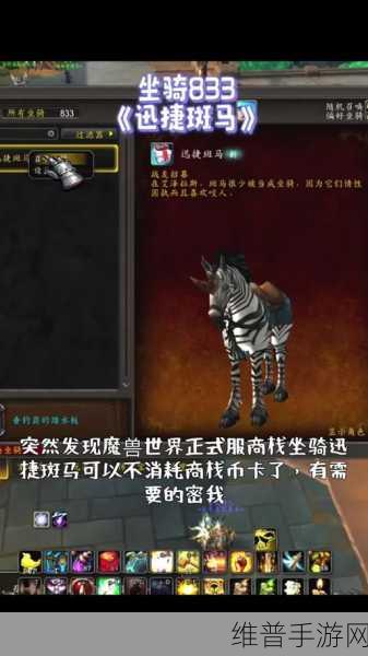 魔兽世界卡牌坐骑兑换全攻略