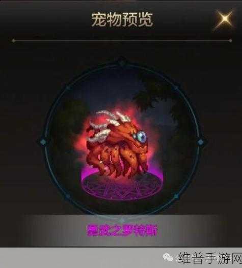 DNF 手游可爱虎宠物属性全解析及获取攻略